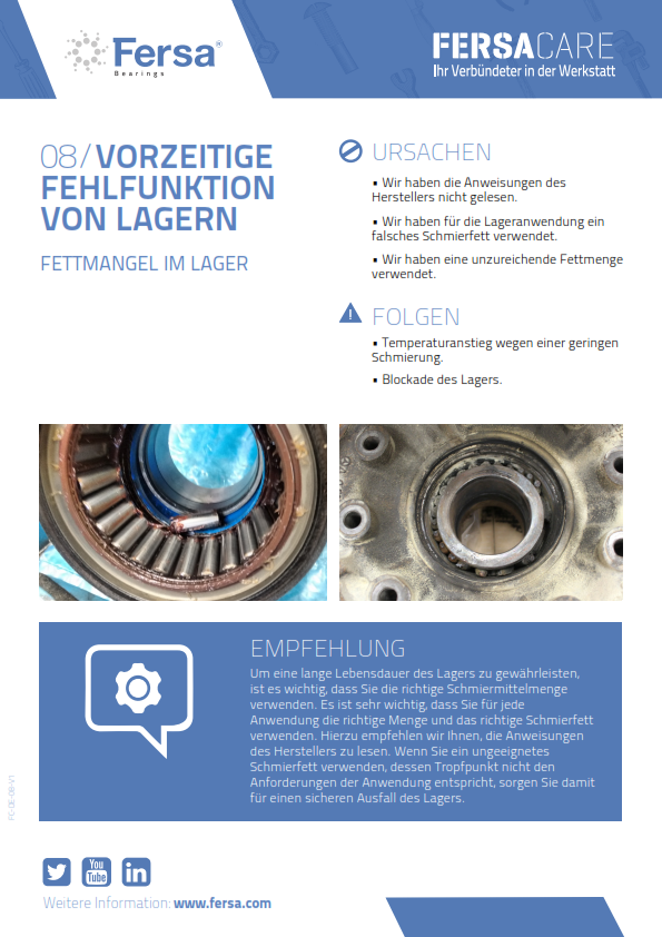 Informationspillen VIII: vorzeitige Fehlfunktion von Lagern