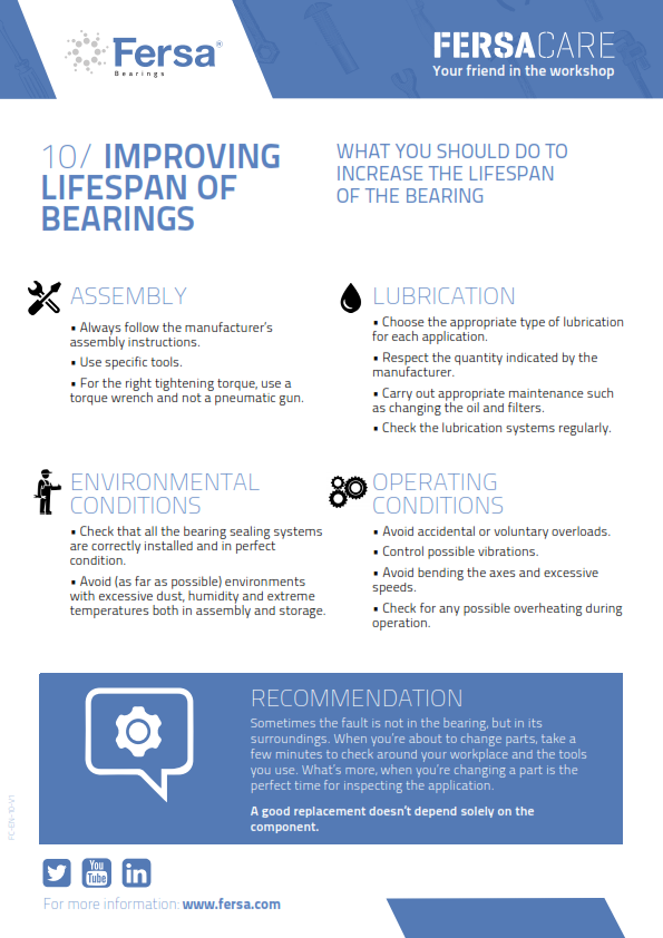 Informative Capsules X: improving bearing lifespan 
