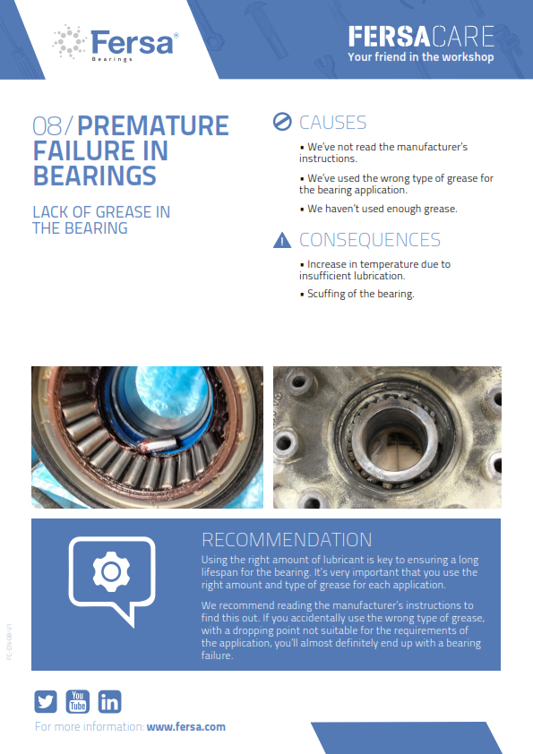 Informative Capsules VIII: Premature failure in bearings