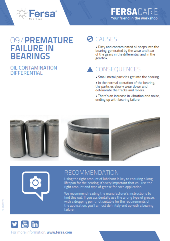 Informative Capsules IX: Premature failure in bearings