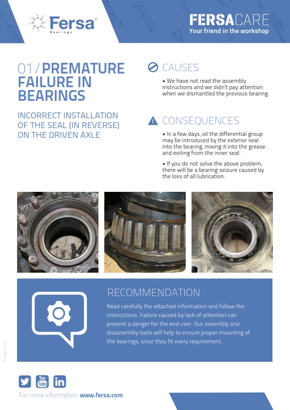 Informative Capsules I: premature failure in bearings