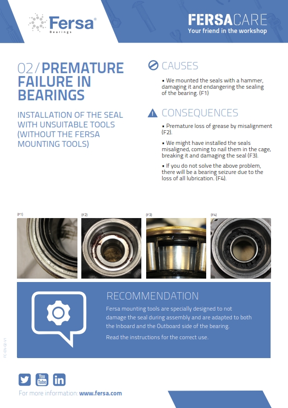 Informative Capsules II: premature failure in bearings