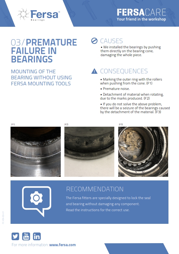 Informative Capsules III: premature failure in bearings
