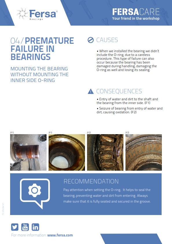 Informative Capsules IV: premature failure in bearings