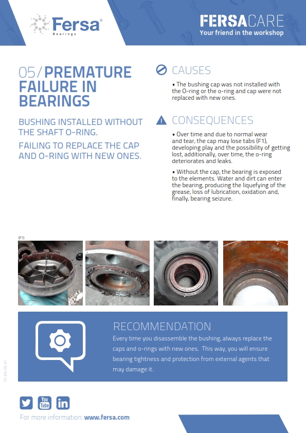 Informative Capsules V: premature failure in bearings