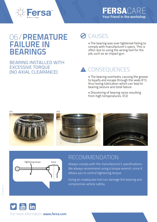 Informative Capsules VI: premature failure in bearings
