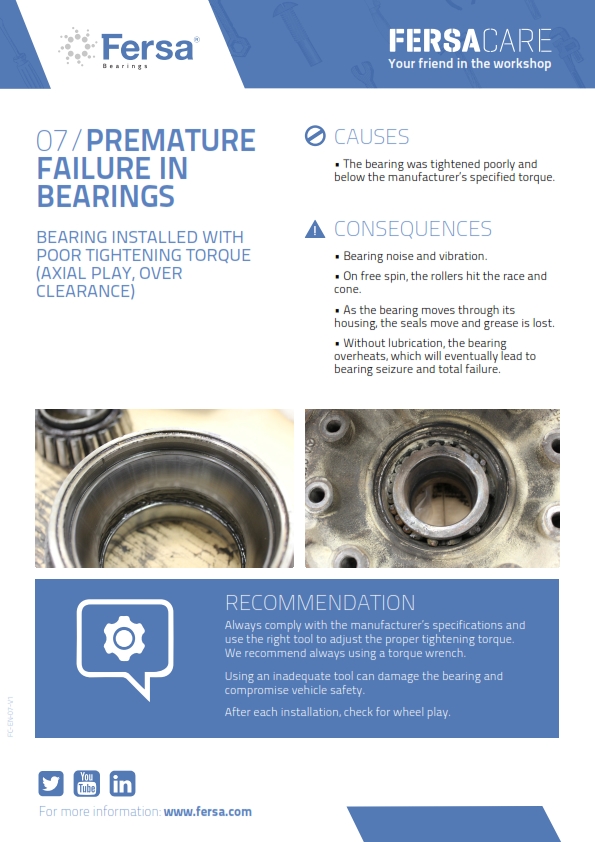 Informative Capsules VII: premature failure in bearings