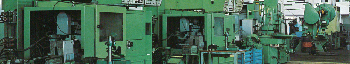 1981-2001: European Quality