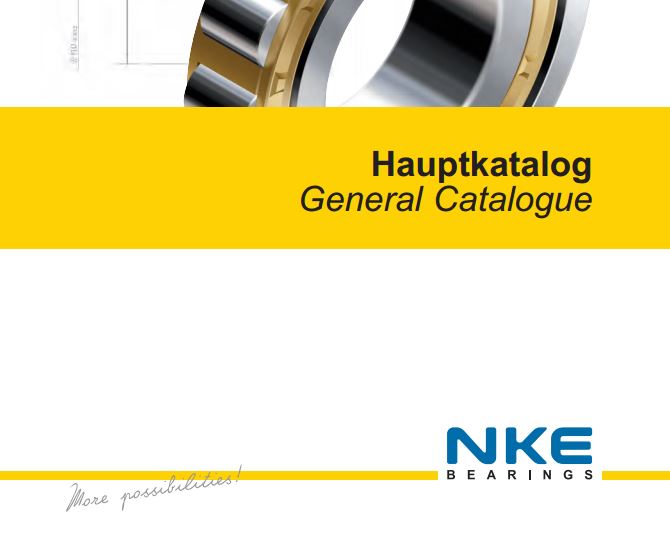 NKE Bearings